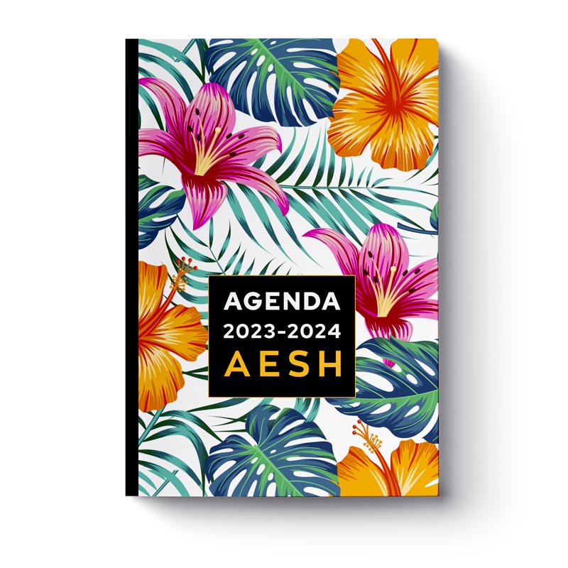 agenda-2023-2024-aesh