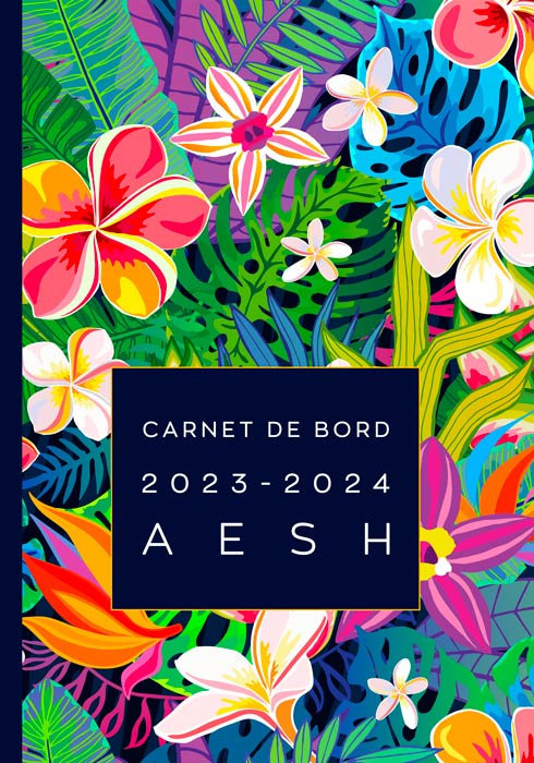 carnet-de-bord-2023-2024-aesh