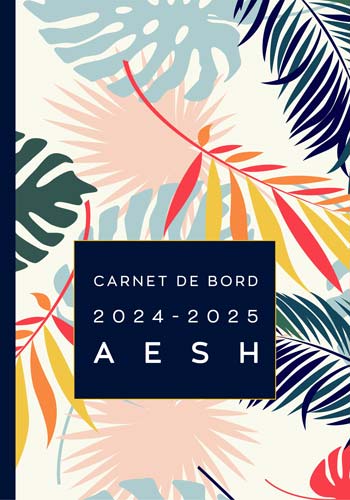 carnet-de-bord-2024-2025-aesh